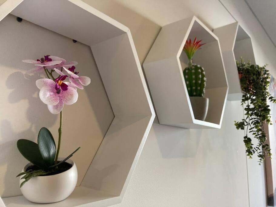 Acogedor Loft En Centro Internacional De Bogota Διαμέρισμα Εξωτερικό φωτογραφία